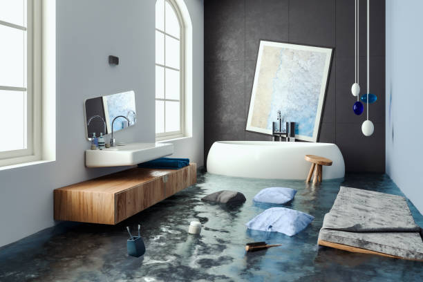 Carpet water damage restoration in Governors Clu, NC