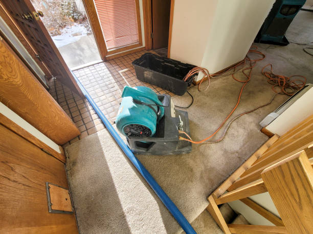 Best Water damage restoration near me  in Governors Clu, NC