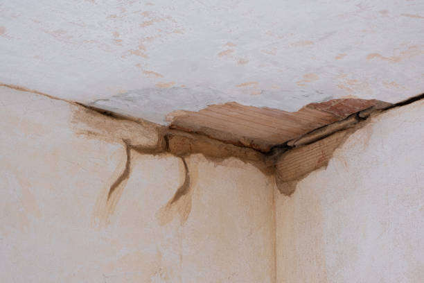 Best Flooded house restoration  in Governors Clu, NC