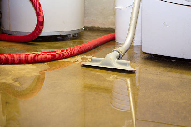 Best Mold removal after water damage  in Governors Clu, NC