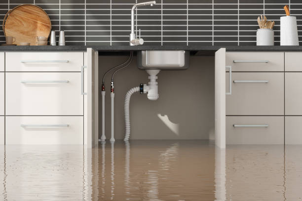 Best Flood damage cleanup  in Governors Clu, NC