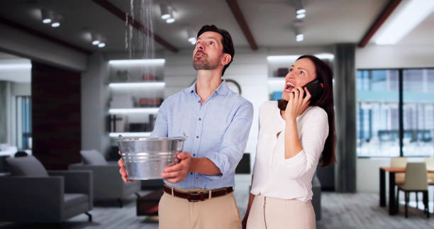 Best Ceiling water damage repair  in Governors Clu, NC